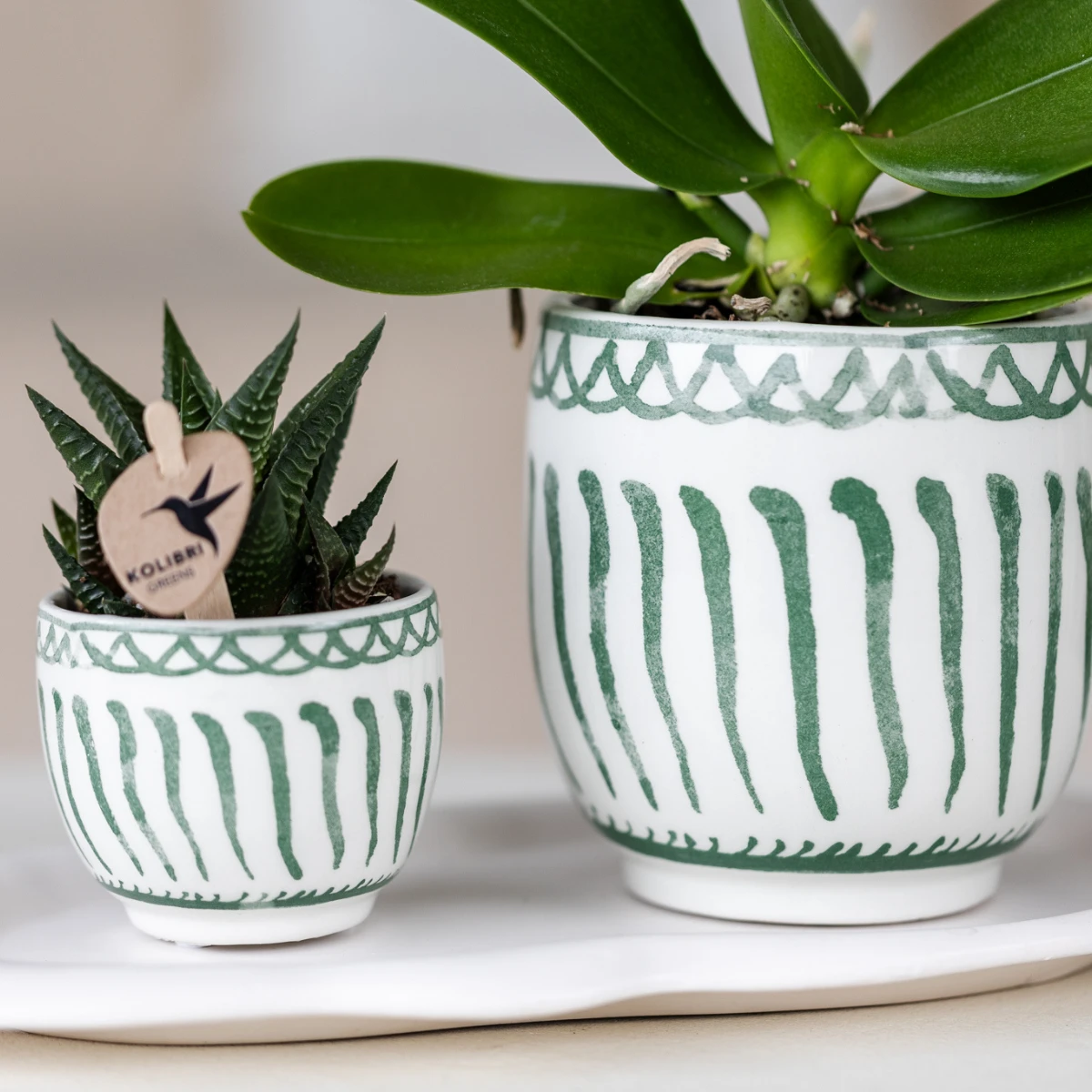Kolibri Home | Granada - Green - Ø6cm by Kolibri Company