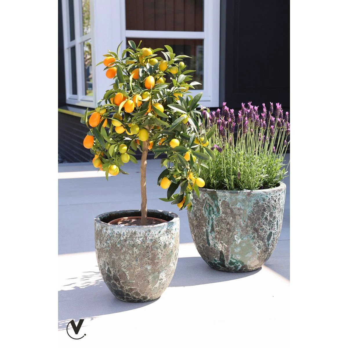 Plant pot - Laki Relic Jade Set Ø36/25 x H34/25 cm - (set of 2 pieces) by Vase The World