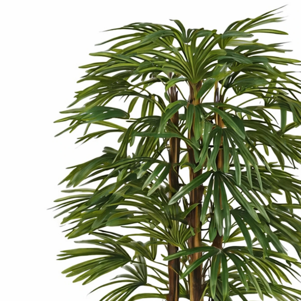 Artificial plant Raphis Palm Green by Mica Decorations