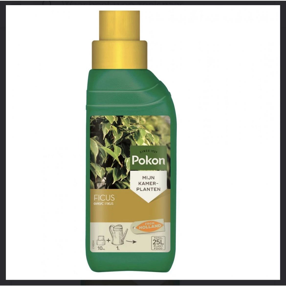 Ficus-Pflanzennahrung 250ML von MEERgroothandel Planten