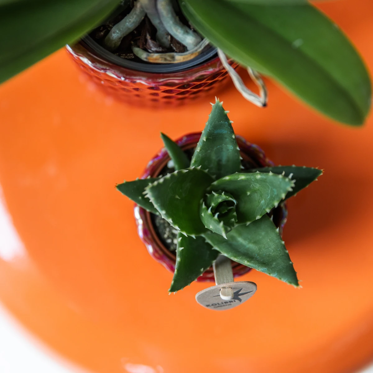 Kolibri Home | Diamond pearl sierpot - Red - Ø6cm by Kolibri Company