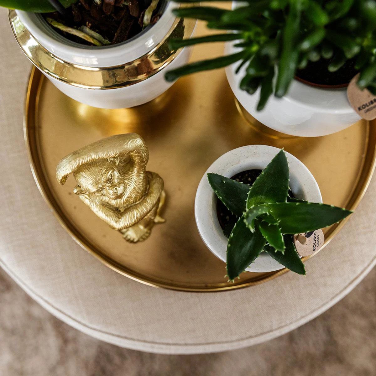 Hummingbird Home | Le Chic flower pot - White ceramic decorative pot with gold details - Ø9cm by Kolibri Company