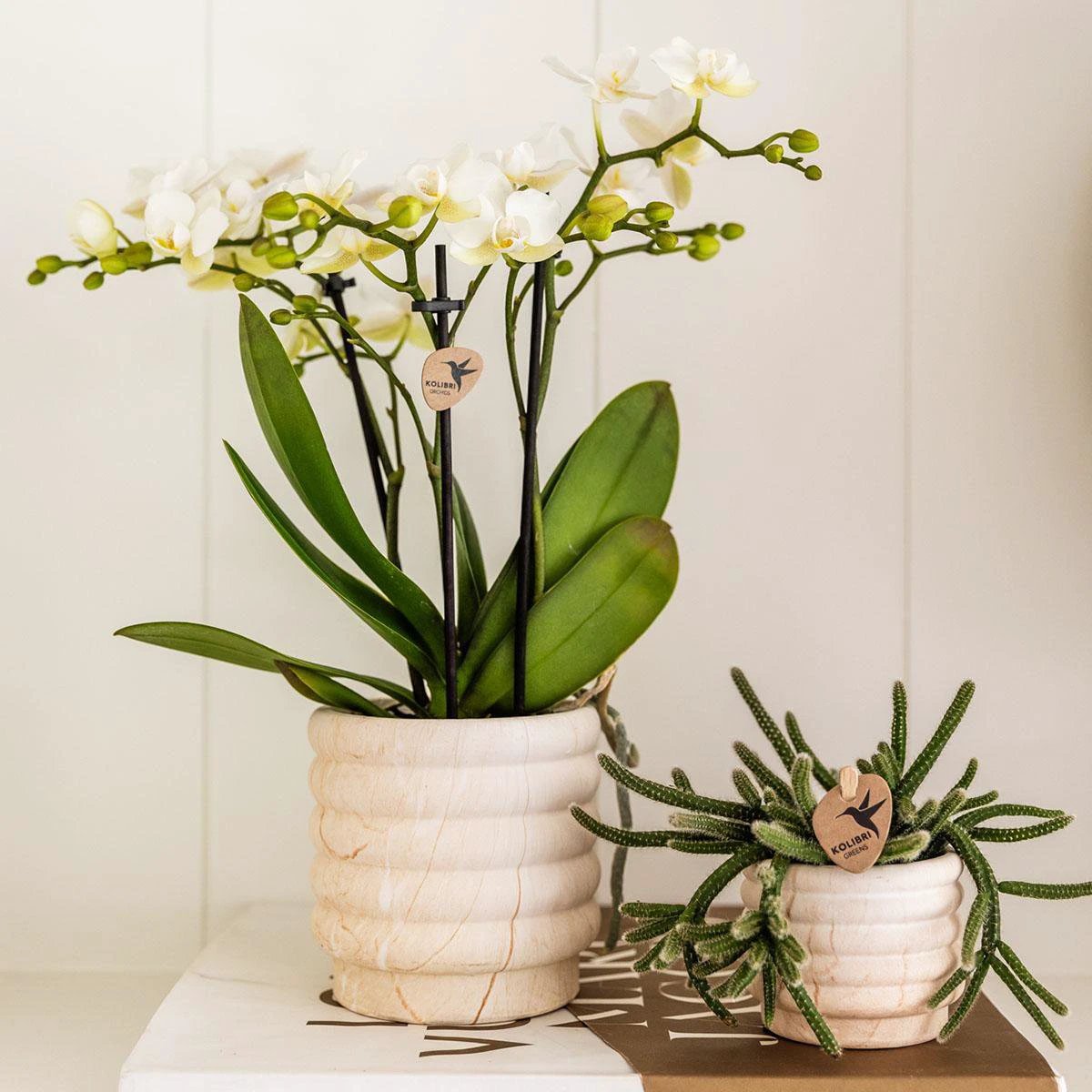 Kolibri Home | Marble pot - Light - Ø6cm by Kolibri Company