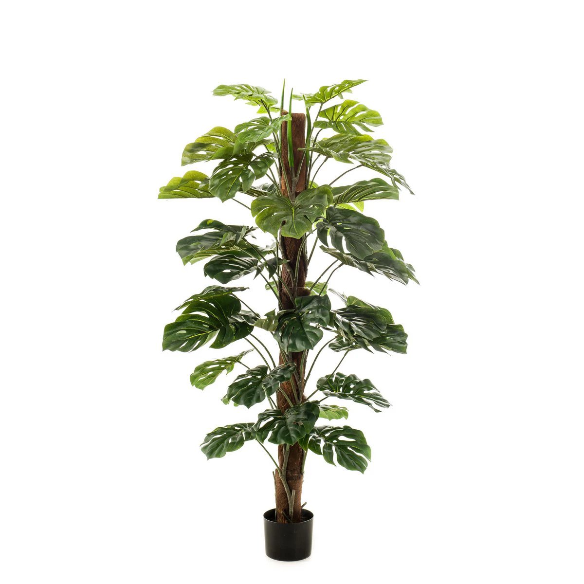 Monstera Deliciosa – Kunstpflanze – 150 cm von Green boutiQ