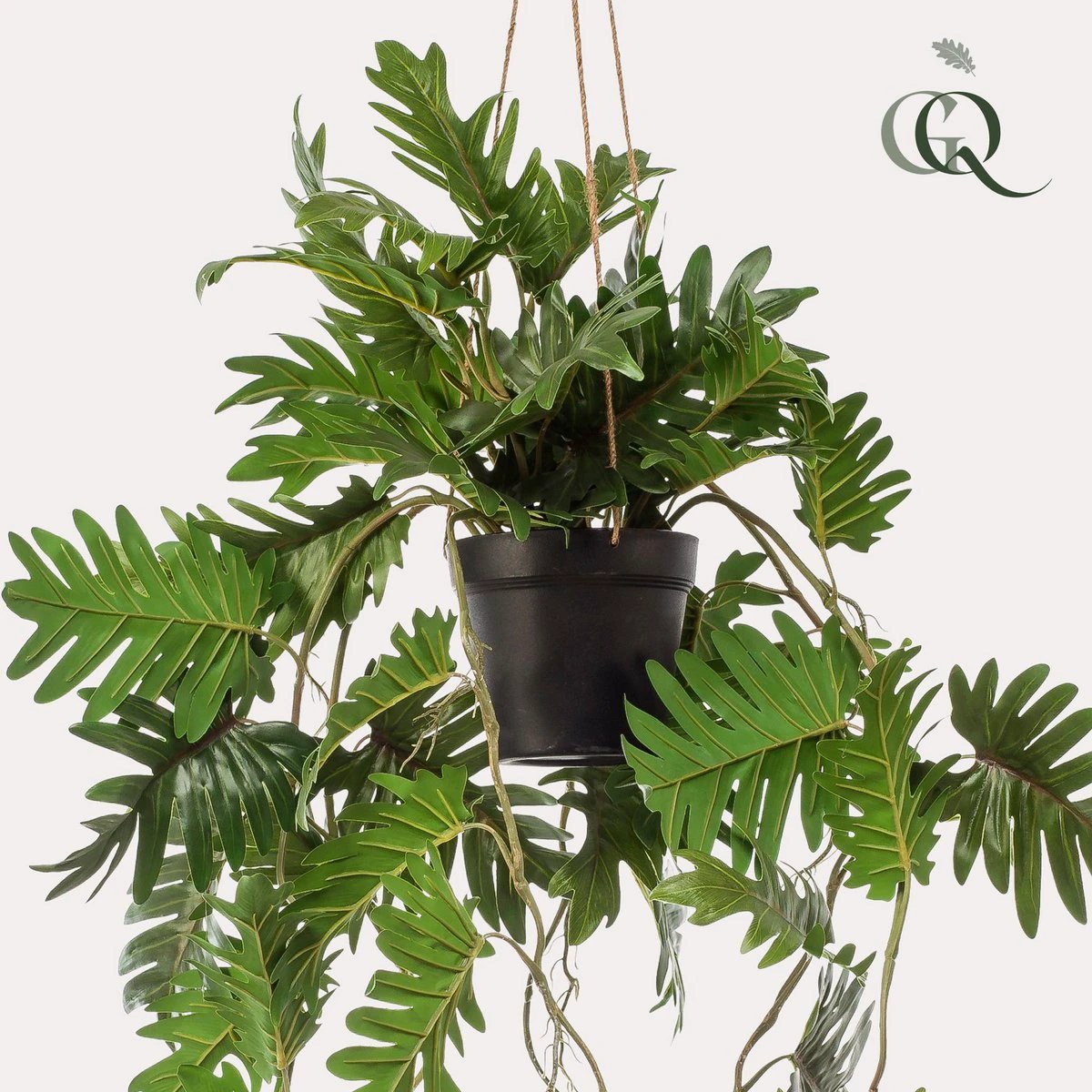 Art plant - Philodendron - Climbing tree lover - 80 cm by Green boutiQ