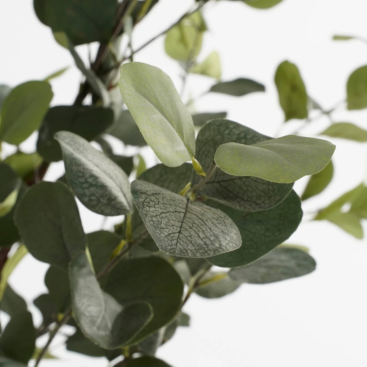 Artificial plant Green by Mica Decorations