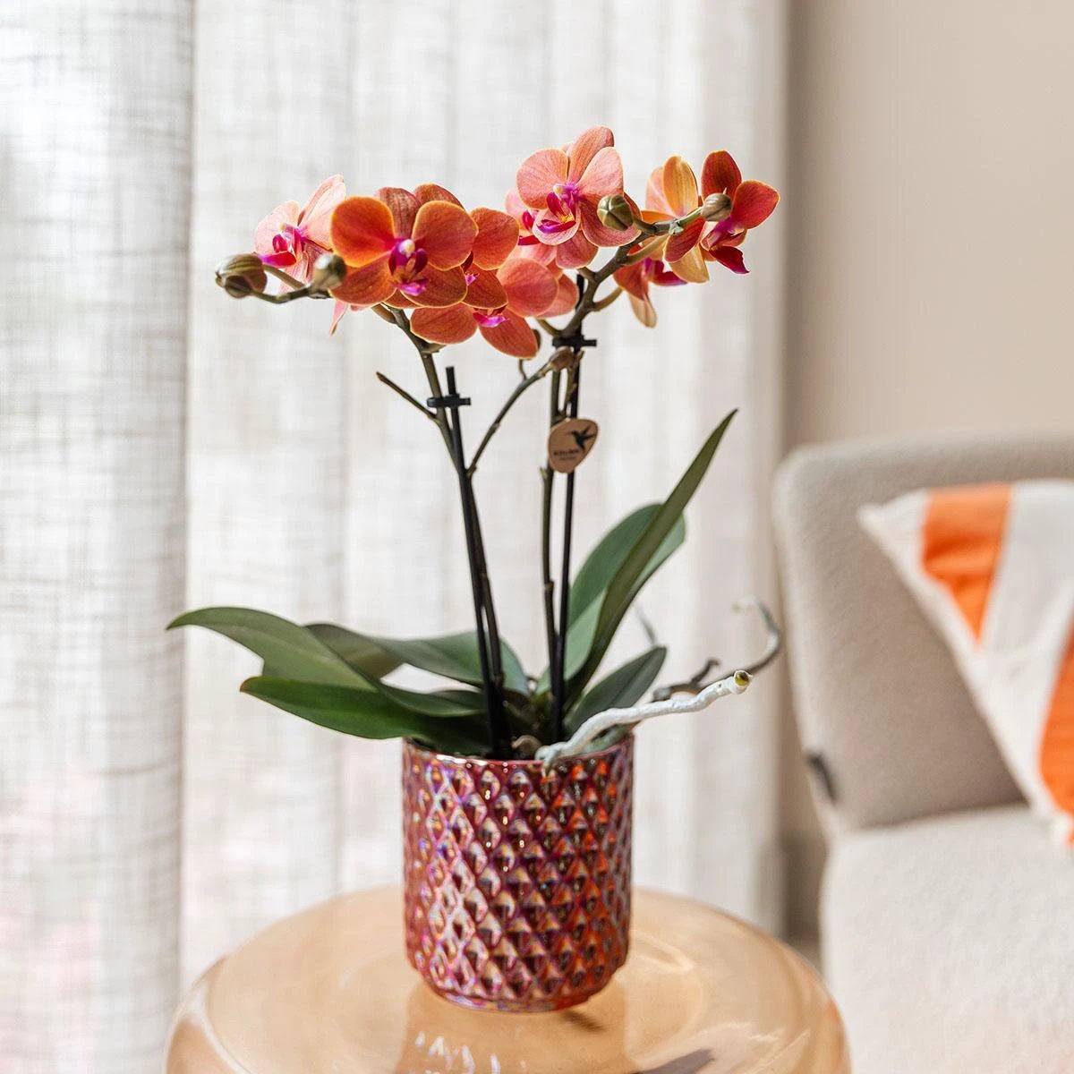 Kolibri Home | Diamond pearl sierpot - Red - Ø9cm by Kolibri Company
