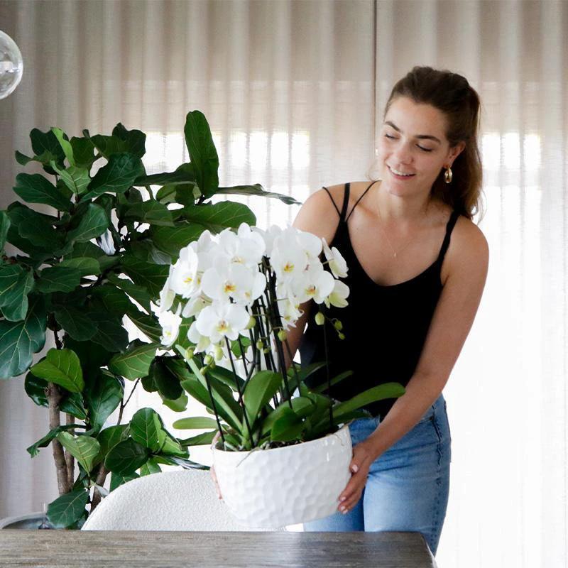 Hummingbird Home | Honey dish white - Ceramic plant bowl with honey pattern - suitable as a planter - pot size Ø30cm by Kolibri Company