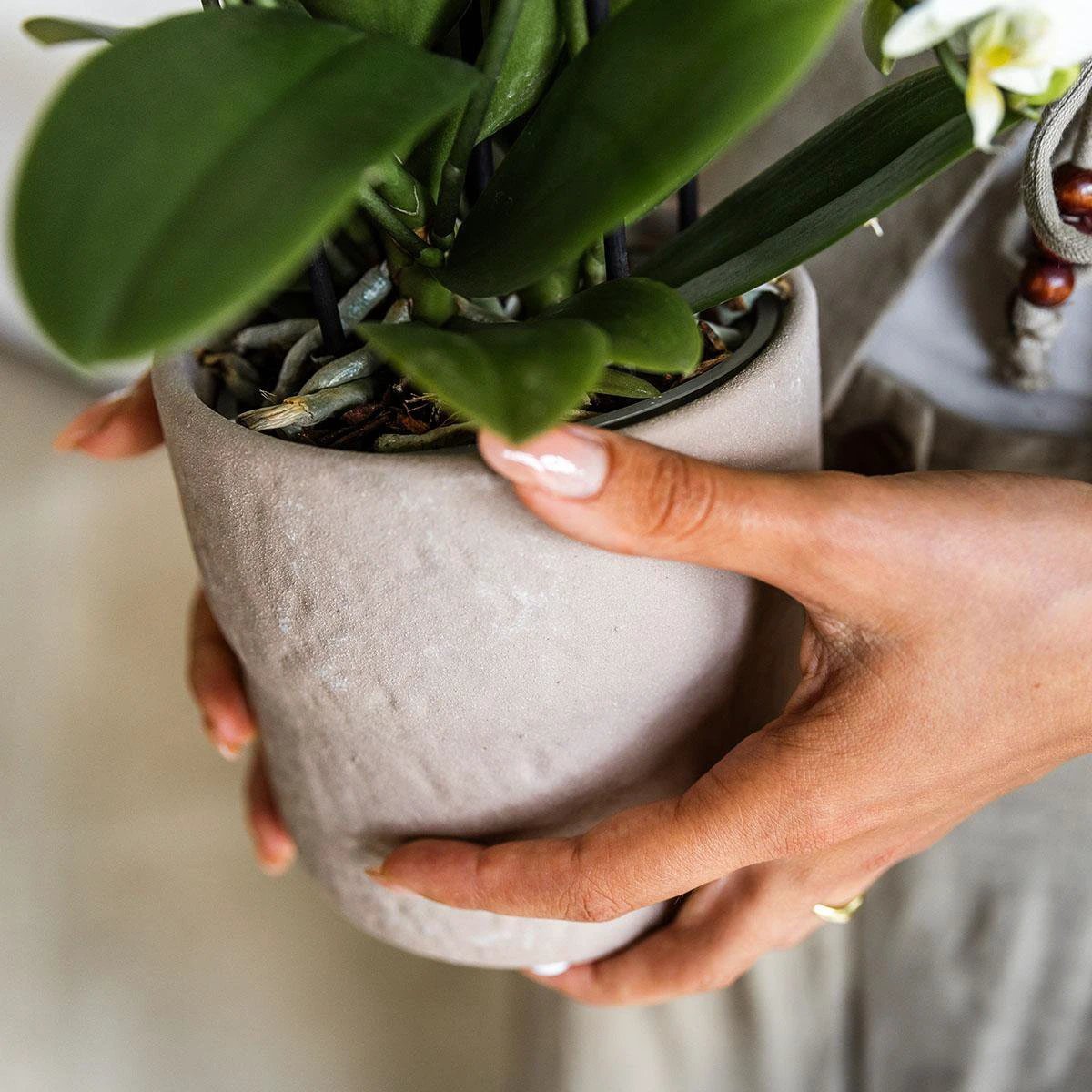 Kolibri Home | Rustic sierpot - Sand - Ø9cm by Kolibri Company