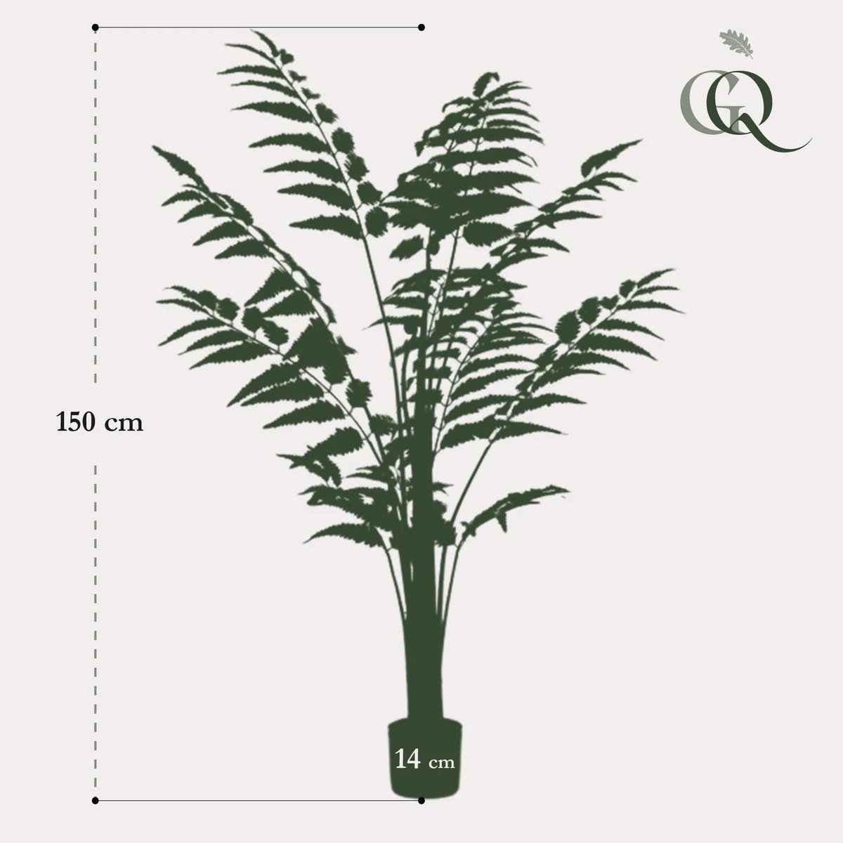 Art Plant - Rumohra Adiantiformis - The Leader Varise - 150 cm by Green boutiQ