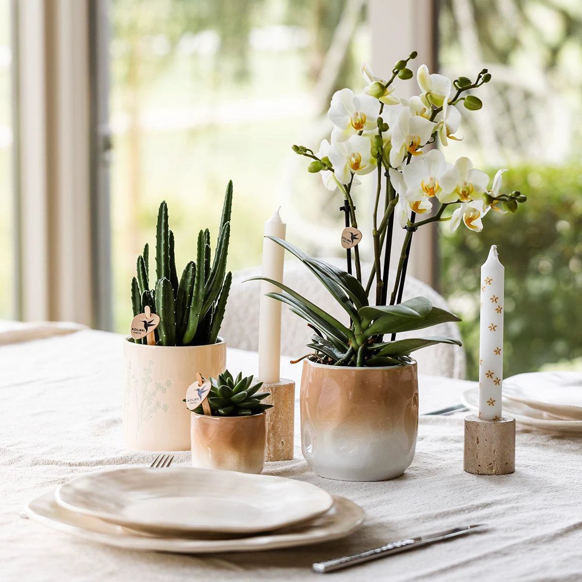 Kolibri Home | Gradience sierpot - Brown - Ø6cm by Kolibri Company