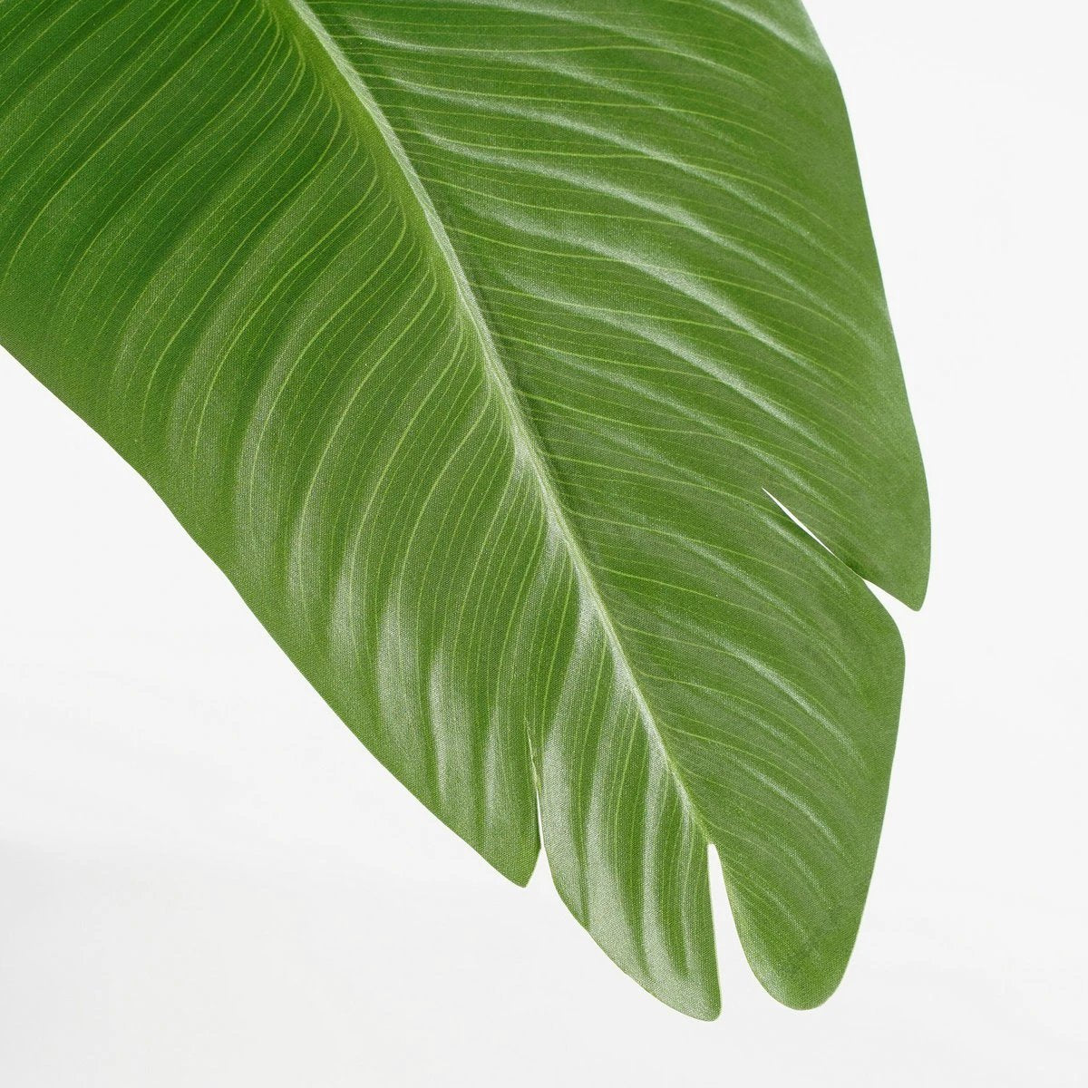 Artificial plant Green by Mica Decorations