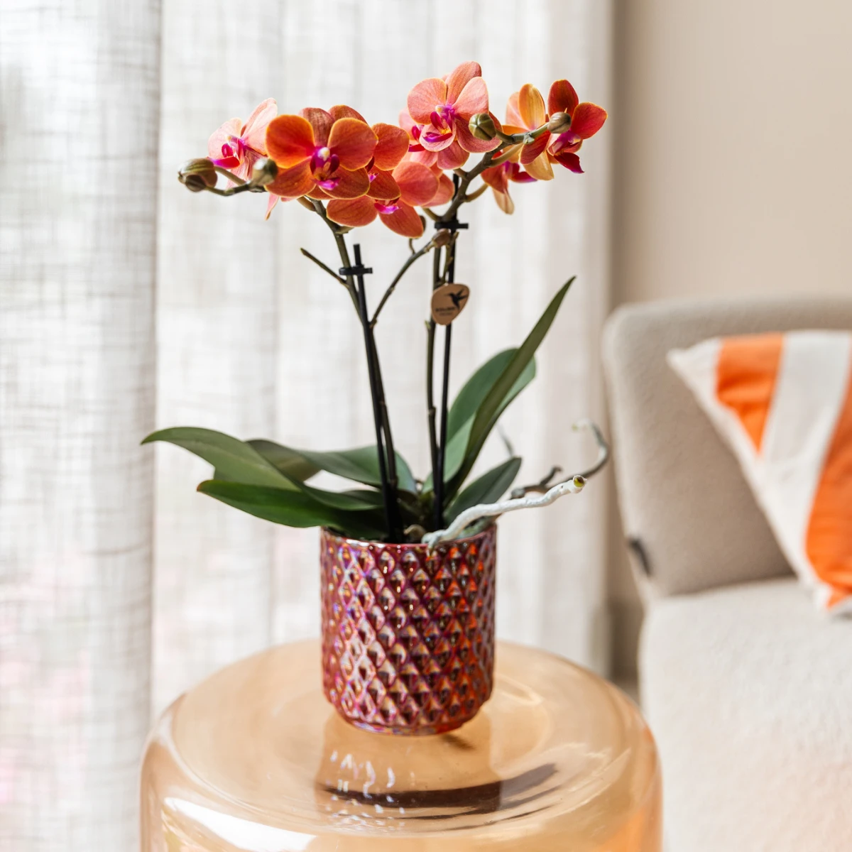 Kolibri Home | Diamond pearl sierpot - Red - Ø6cm by Kolibri Company