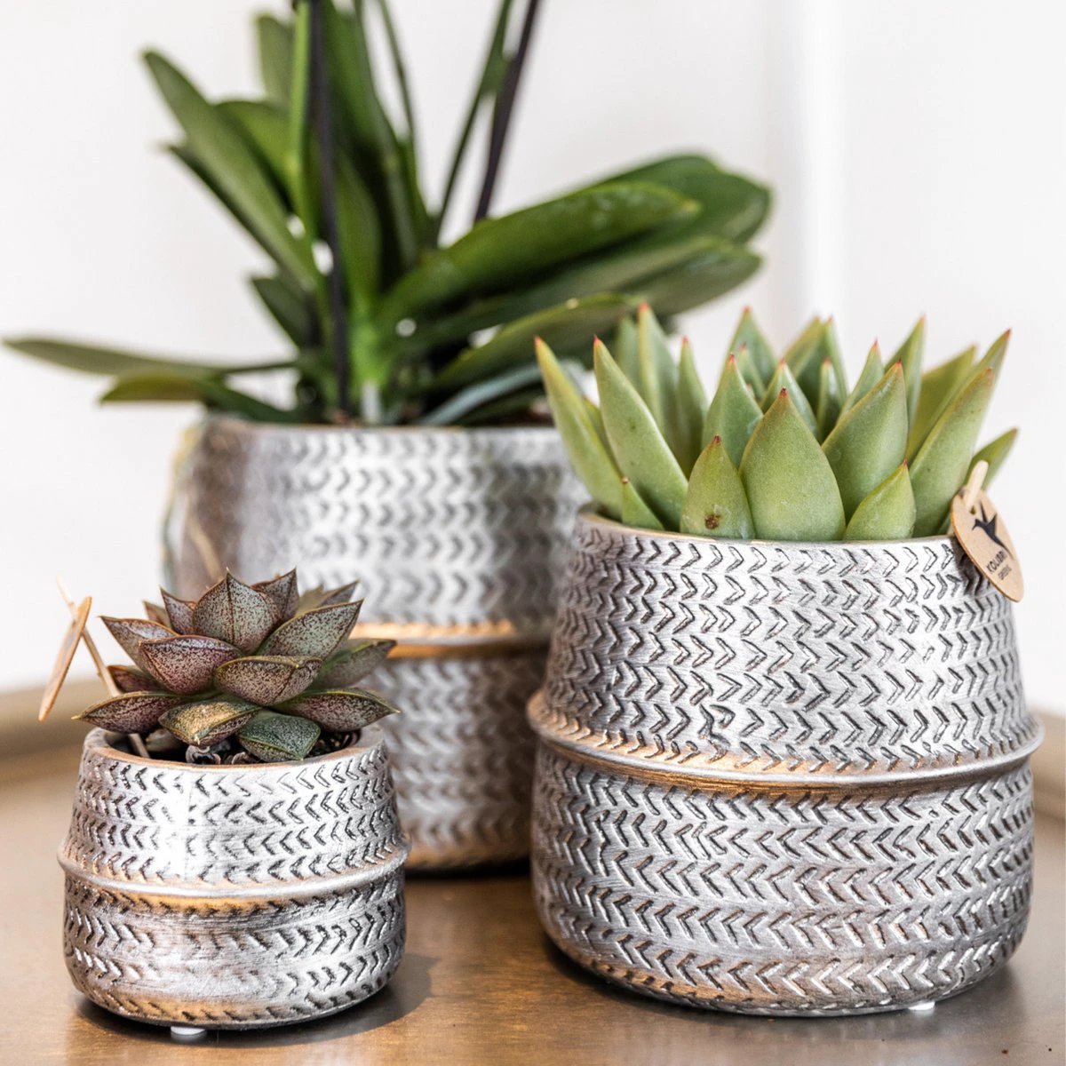 Kolibri Home | Groove Flowerpot - Silver Ceramic Sierpot - Ø6cm by Kolibri Company