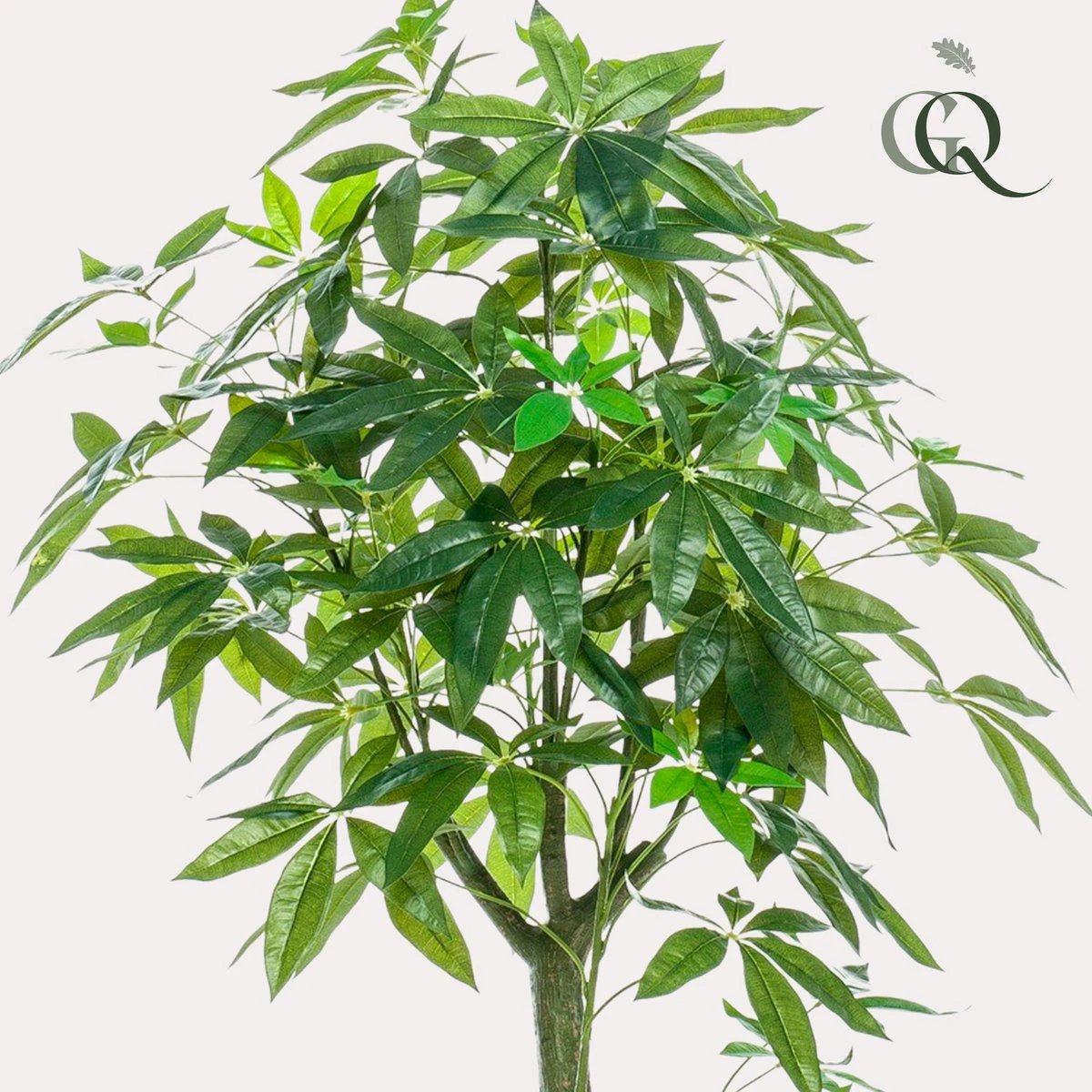 Artificial plant - Pachira Aquatica - Money tree - 150 cm by Green boutiQ