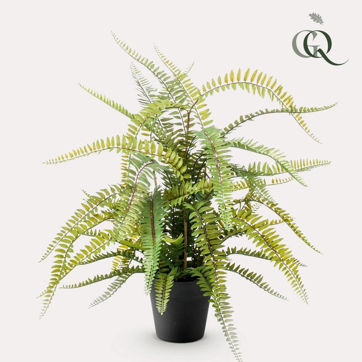 Kunstpflanze – Nephrolepis Exaltata – Boston-Farn – 70 cm von Green boutiQ