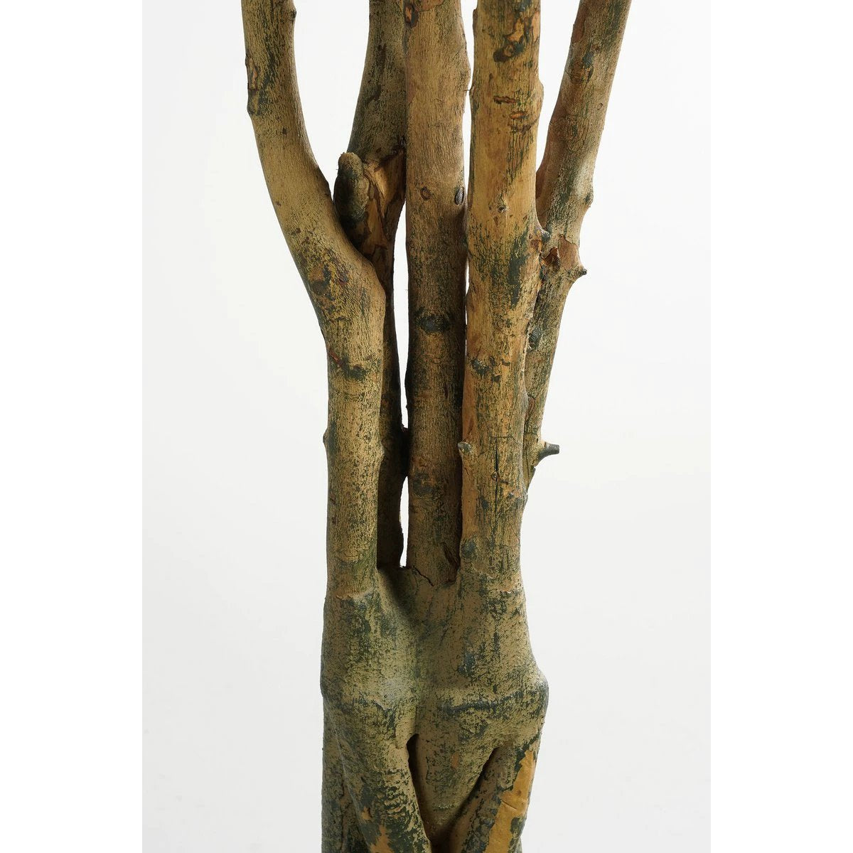 Artificial plant Pachira Green by Mica Decorations
