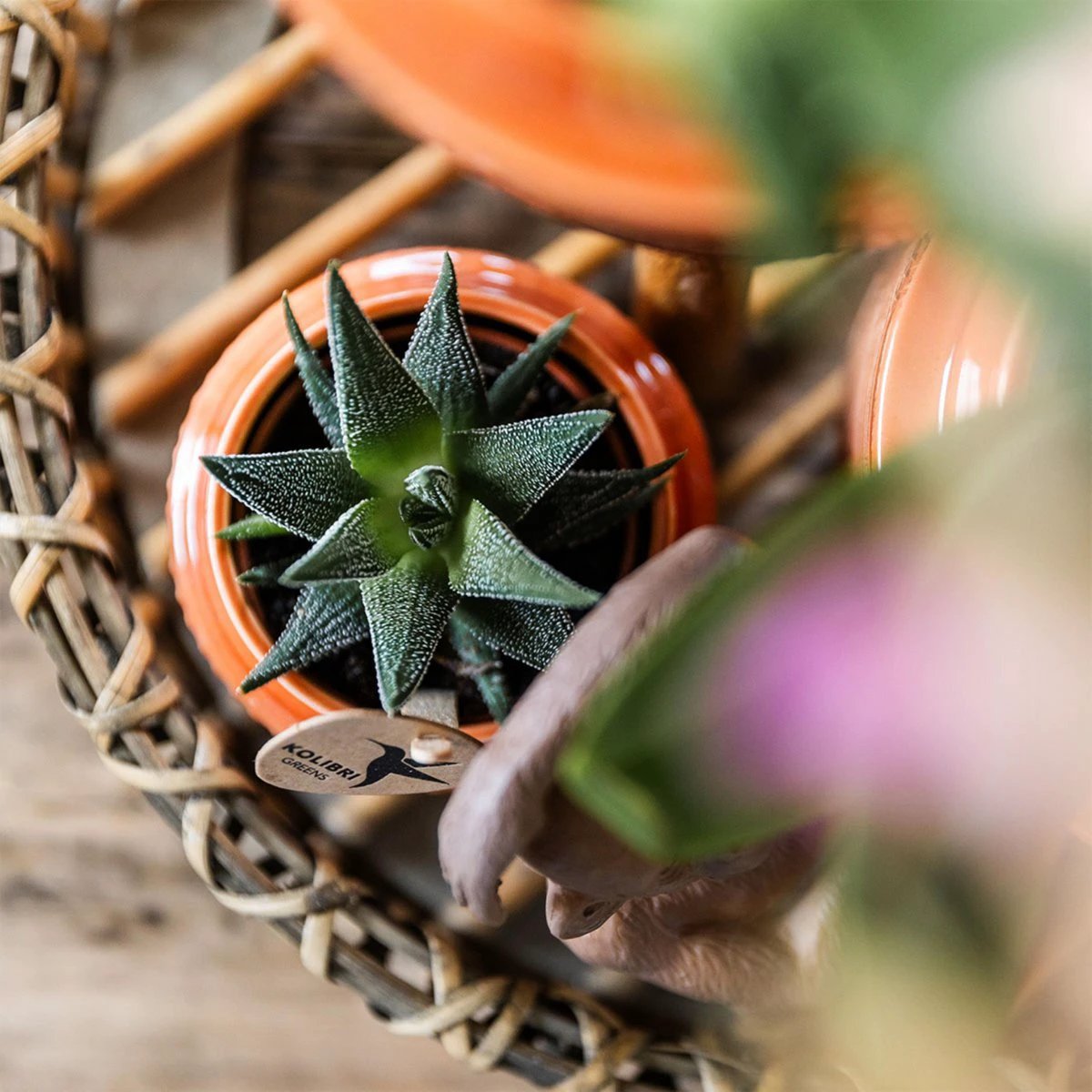Hummingbird Home | Decorative bowl - Round Willow tray Ø30cm by Kolibri Company