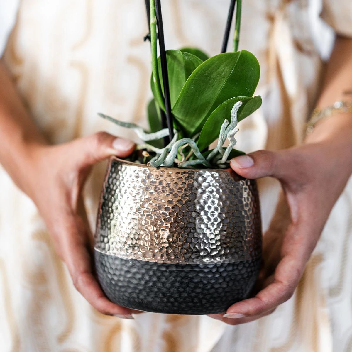 Hummingbird Home | Elite pot copper - Ø9cm by Kolibri Company