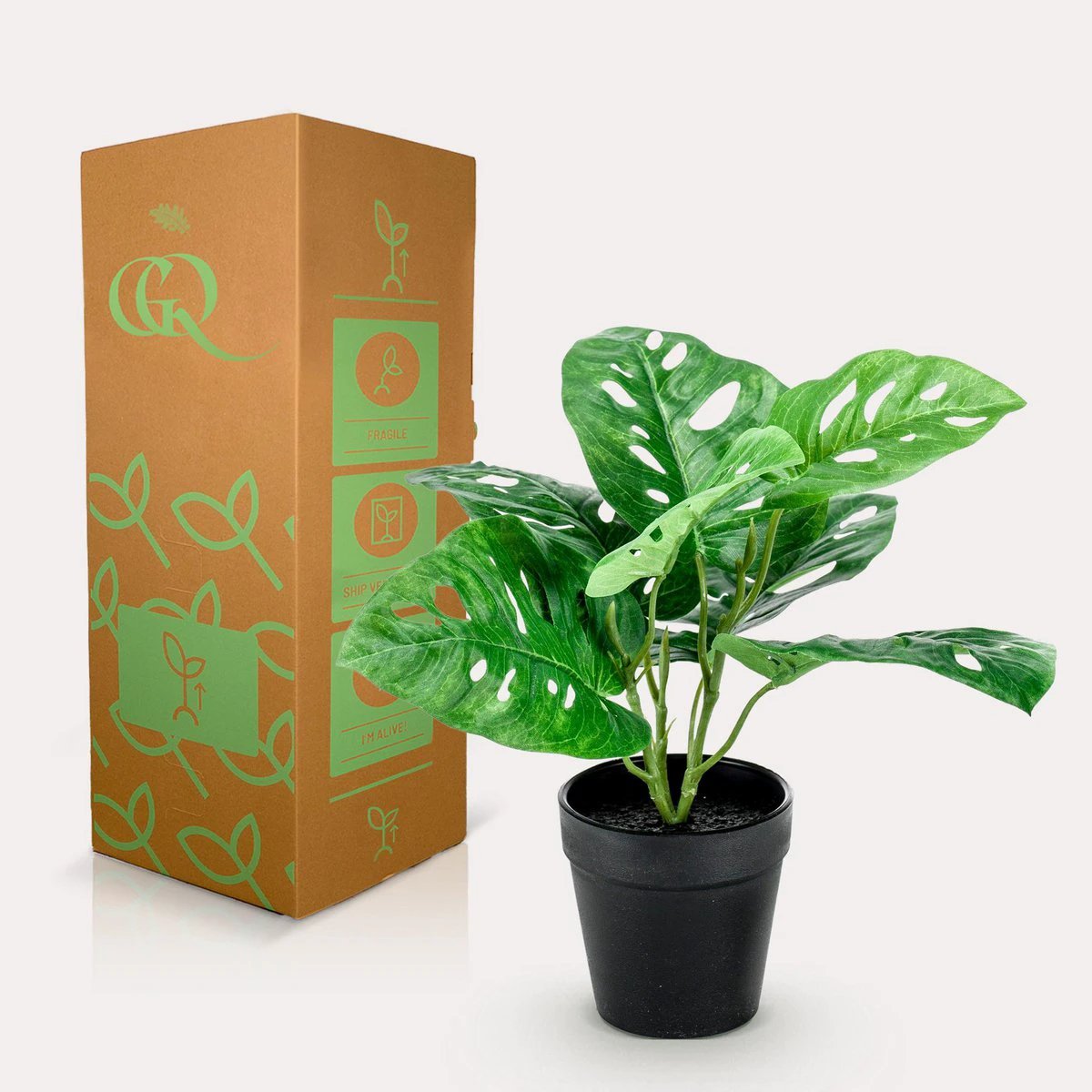 Artificial plants - Monstera Monkey - Hole plant - 29 cm by Green boutiQ