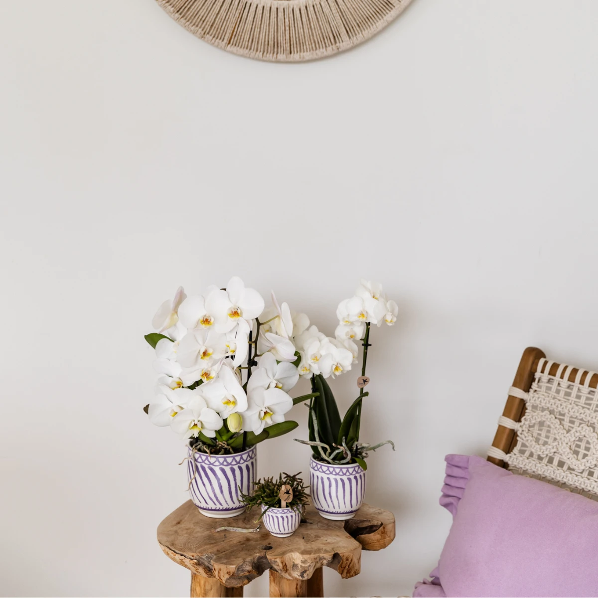 Kolibri Home | Granada - Lilac - Ø12cm by Kolibri Company