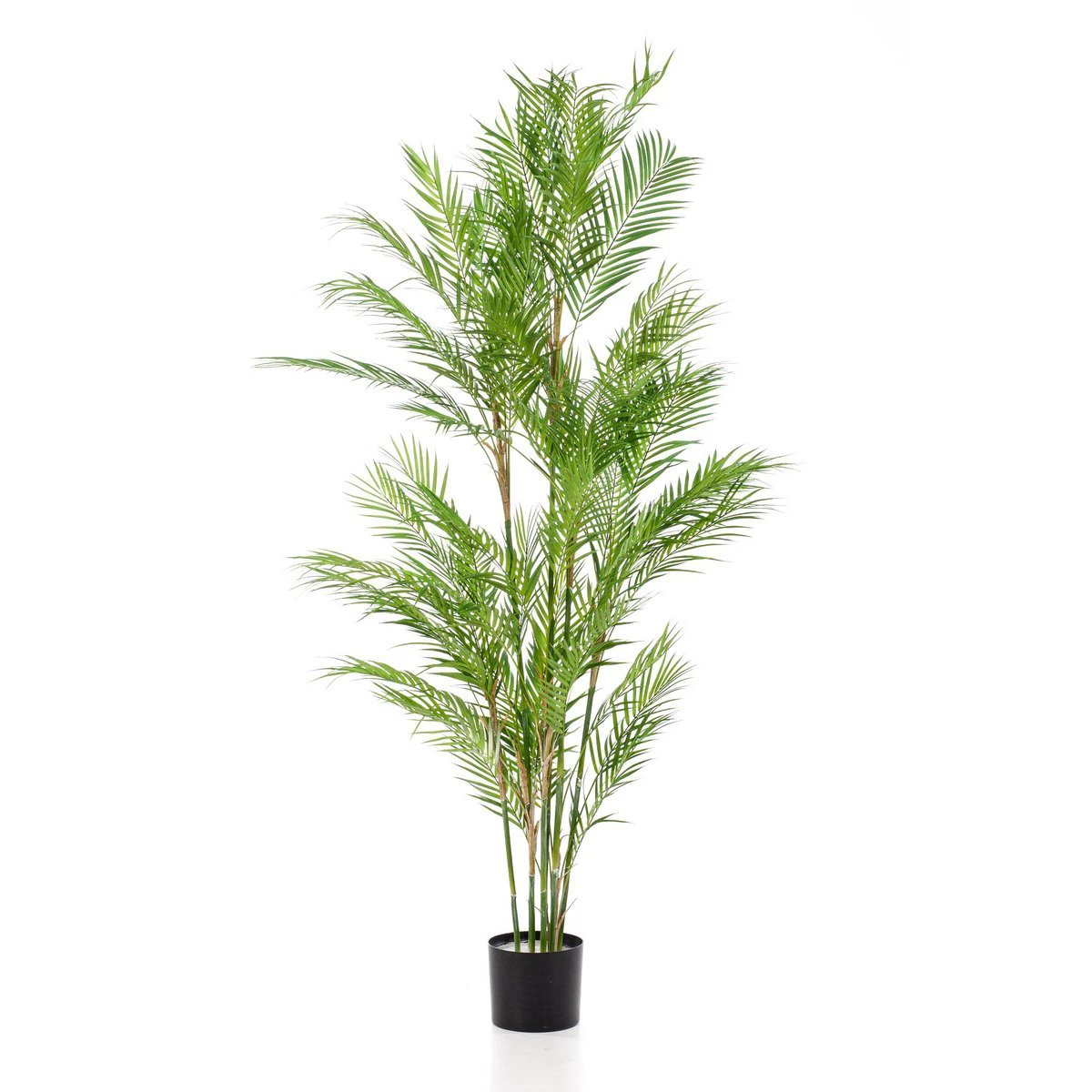 Art plant - Chamaedorea Elegans - Bergpalm - 180 cm by Green boutiQ