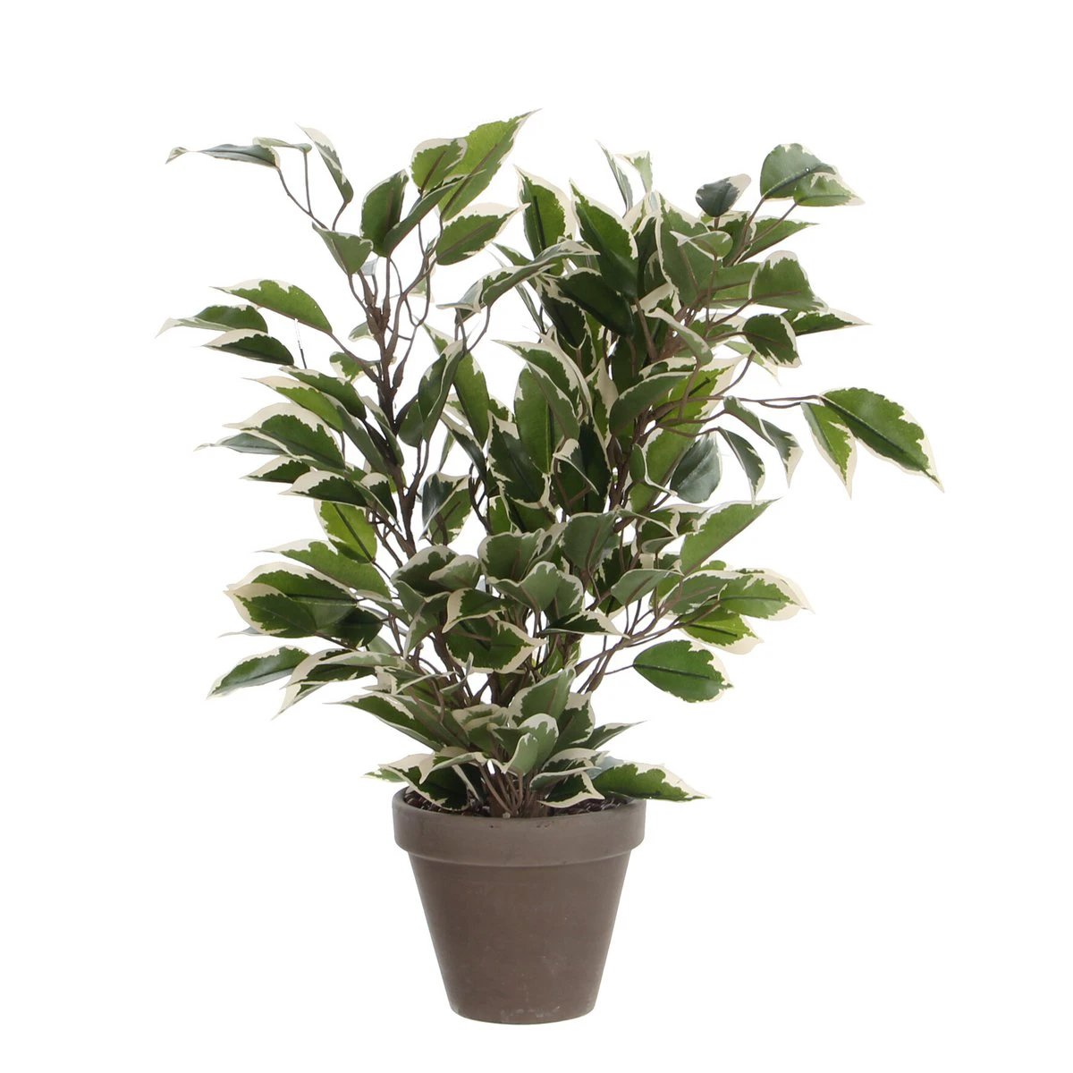 Artificial plant Ficus natasja Green by Mica Decorations