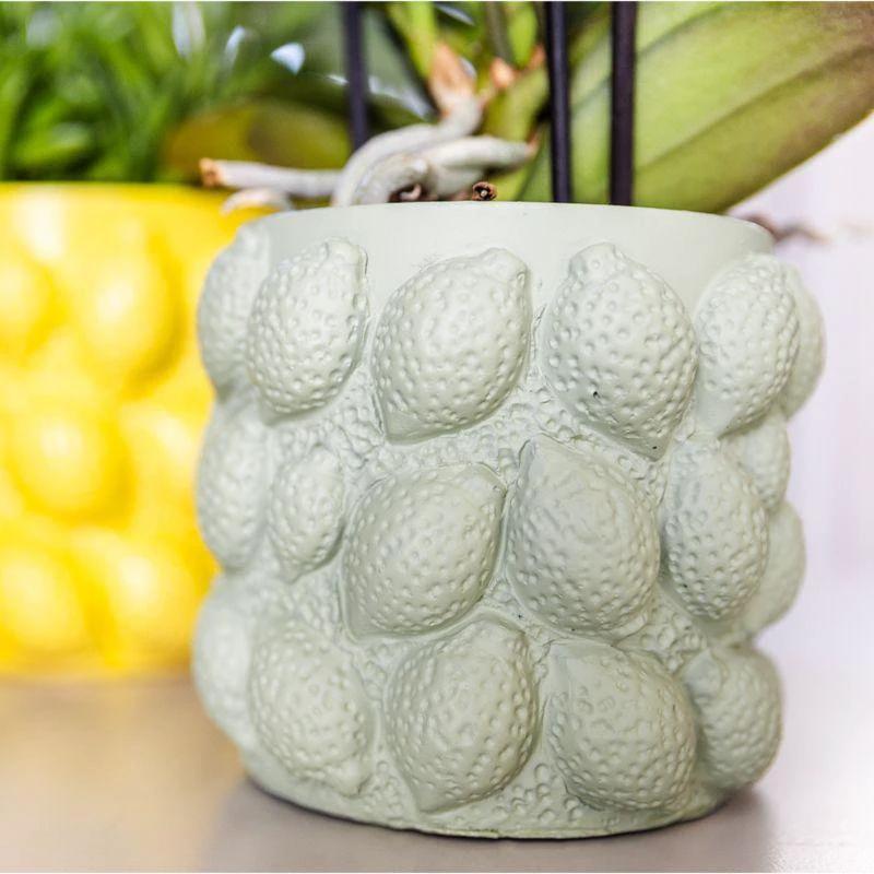 Hummingbird Home | Citrus pot green - Ø12cm by Kolibri Company