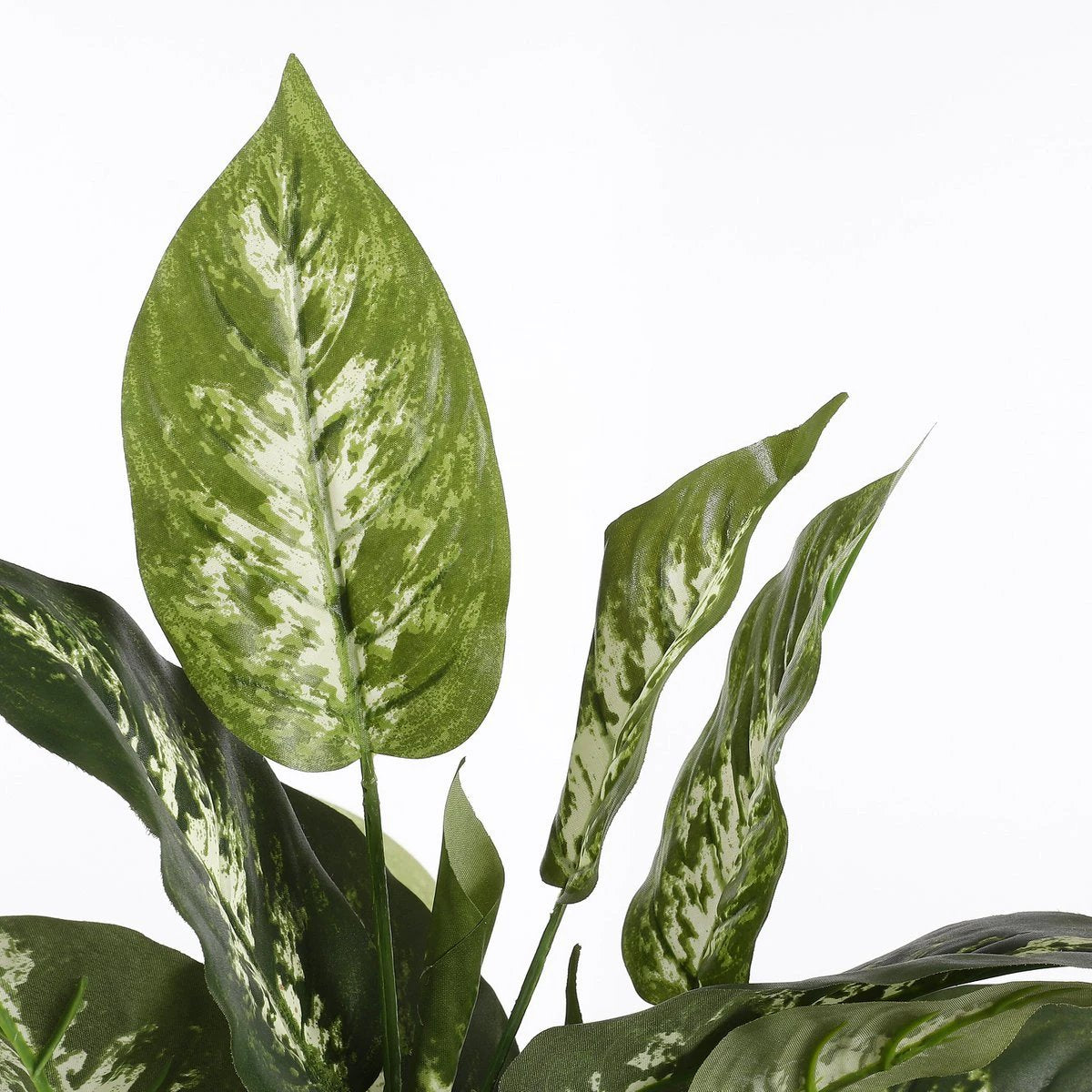 Artificial plant Dieffenbachia Green by Mica Decorations