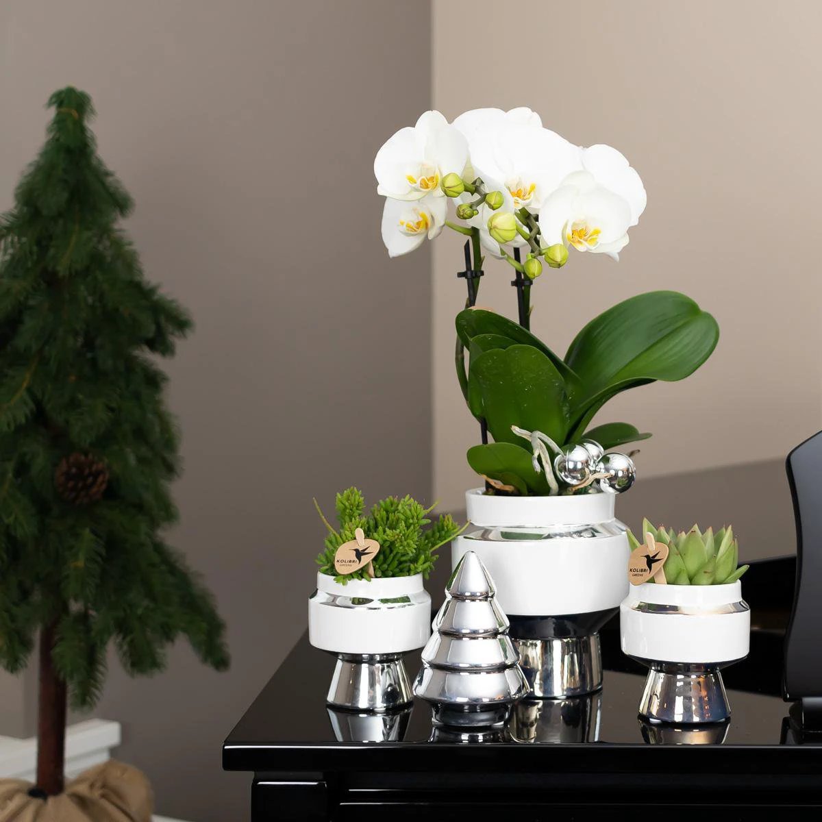 Hummingbird Home | Le Chic flower pot - White ceramic decorative pot with silver details - Ø6cm by Kolibri Company