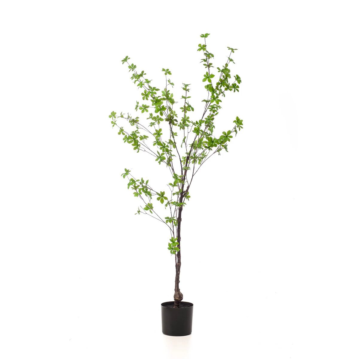 Kunstpflanze – Tropseolum attraktiv – ostindisch – 150 cm von Green boutiQ