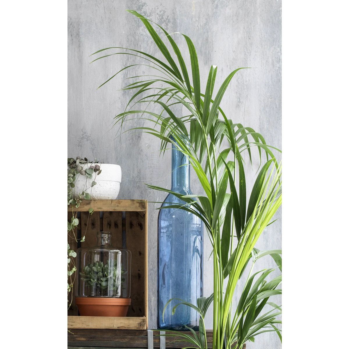 Decorative bottle of Rioja Light Blue by Mica Decorations