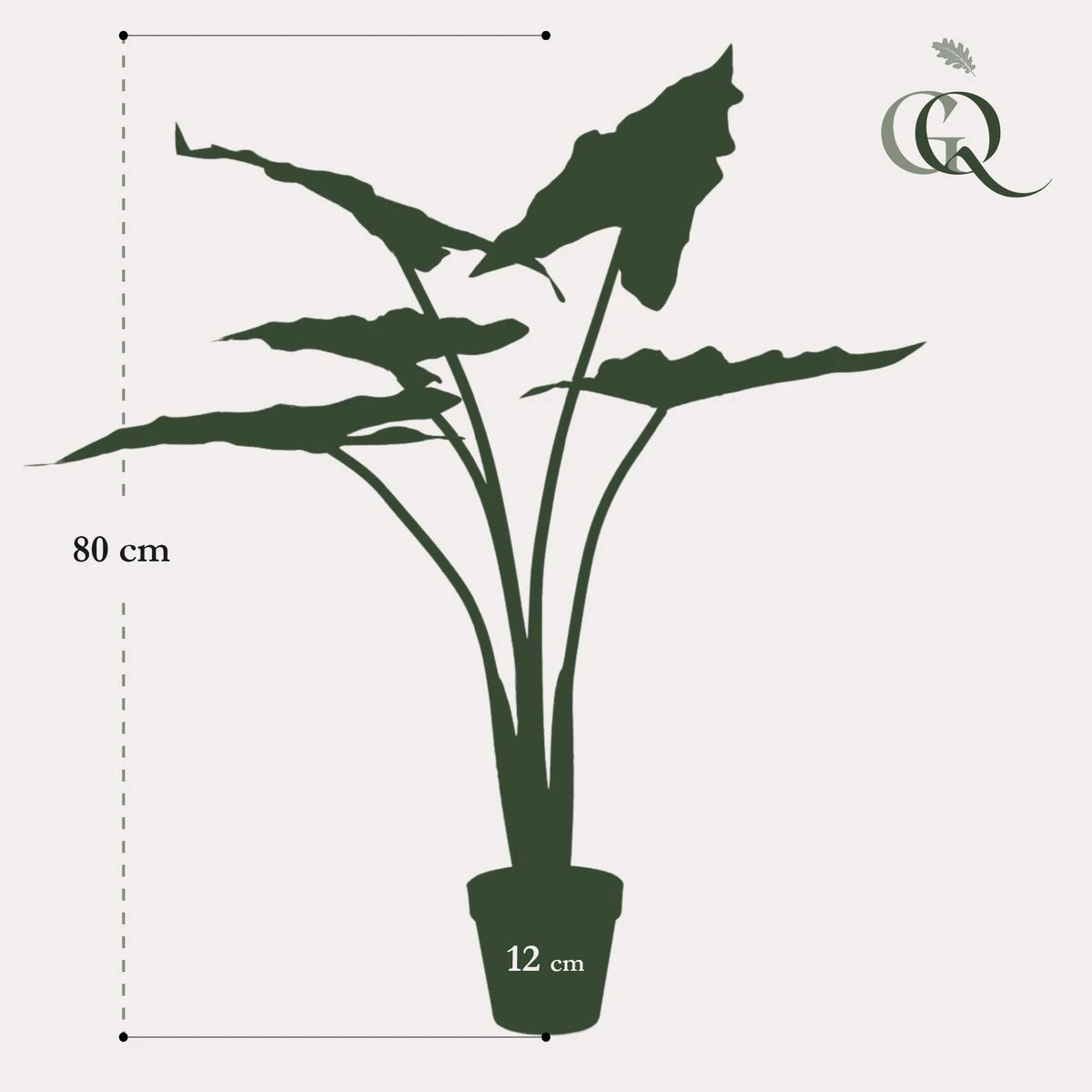 Art plant - Alocasia Frydek - Elephants ear - 80 cm by Green boutiQ