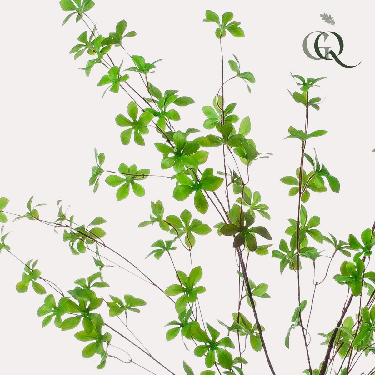 Kunstplant - Tropseolum attractive - Oost Indistent - 150 cm by Green boutiQ