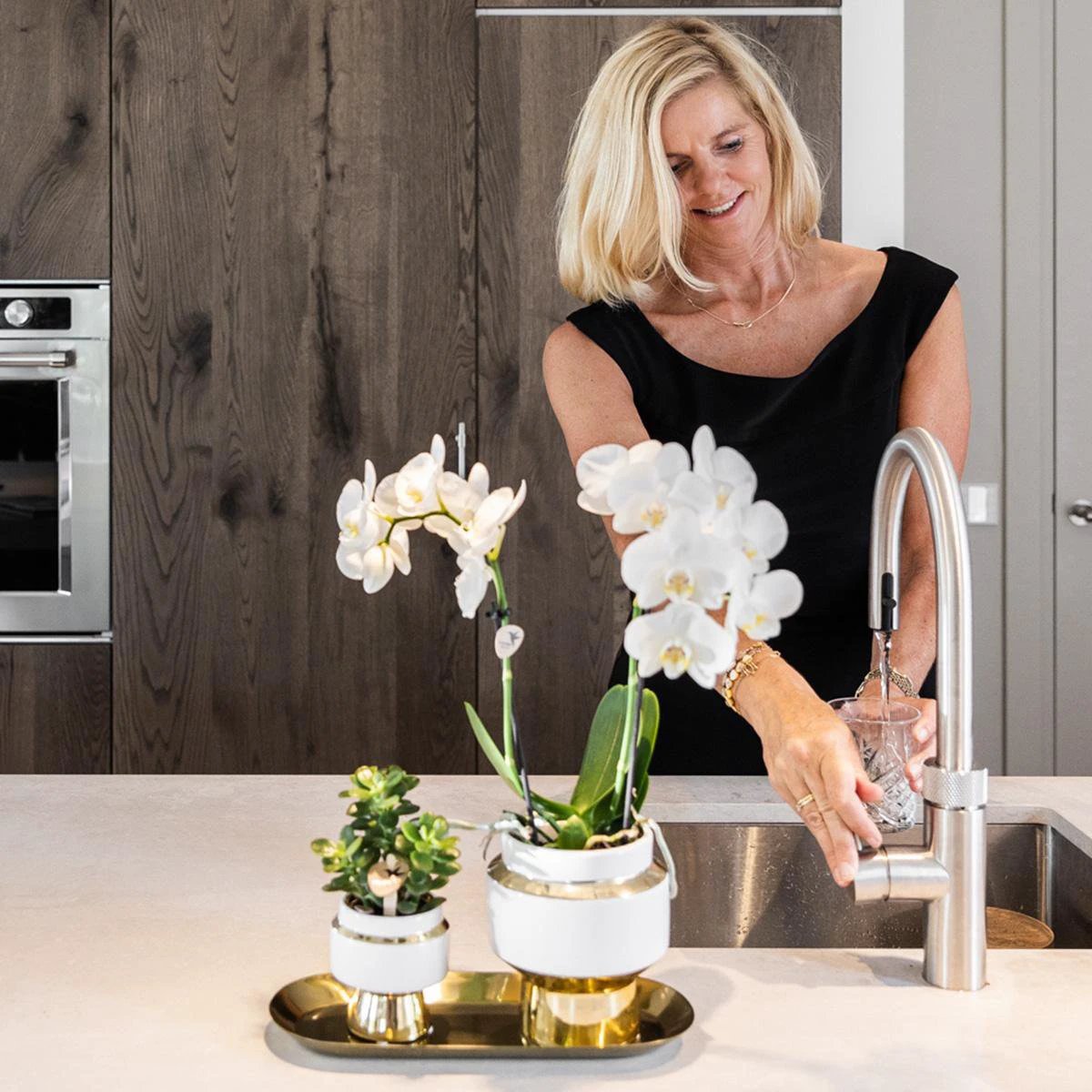 Kolibri Company – Set aus weißer Orchidee und Sukkulente auf goldenem Tablett von Kolibri Company