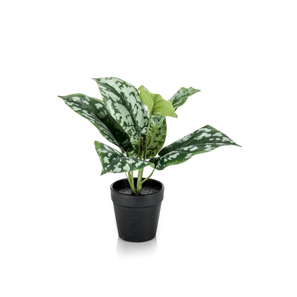 Kunstpflanze – Scindapsus Pictus – Glückspflanze – 30 cm von Green boutiQ