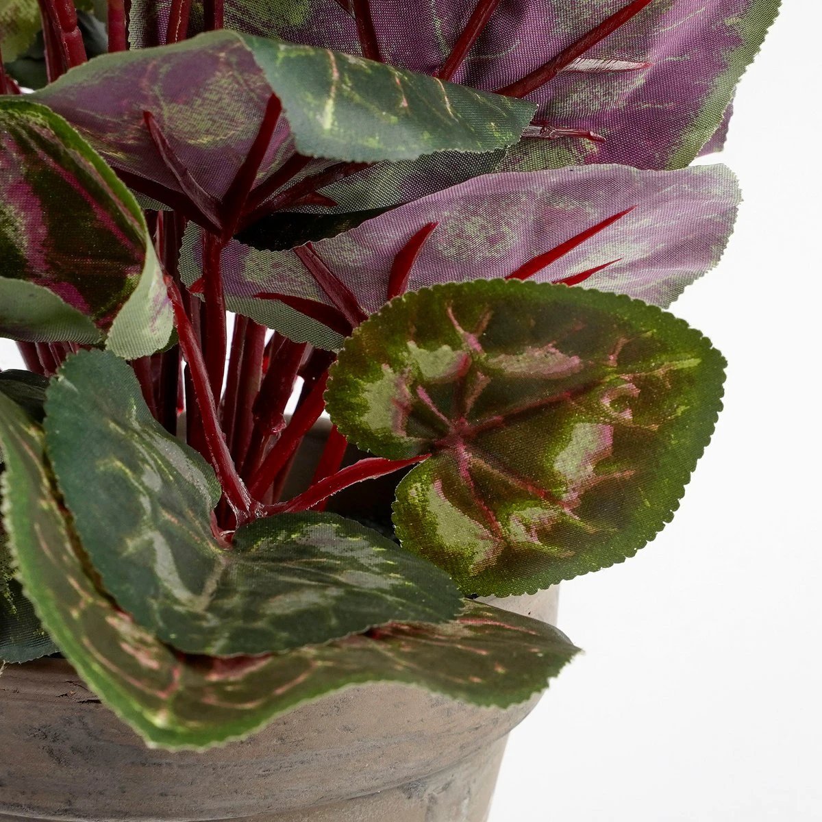 Artificial plant Cyclamen White by Mica Decorations