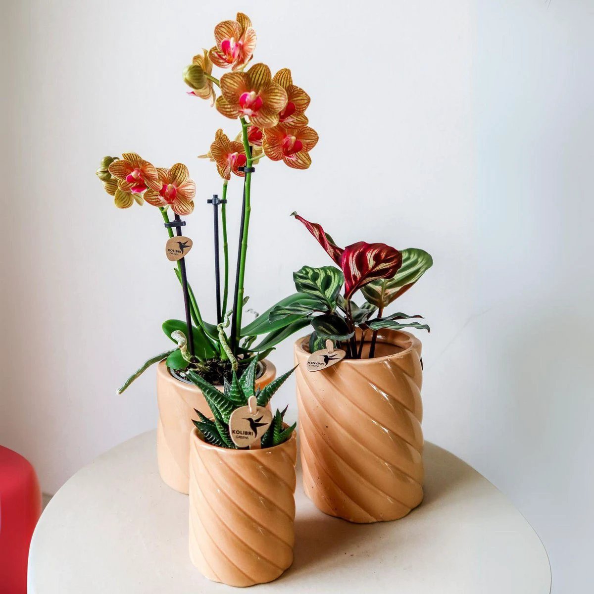 Hummingbird Home | Candy decorative pot | High - Peach - Ø6cm by Kolibri Company