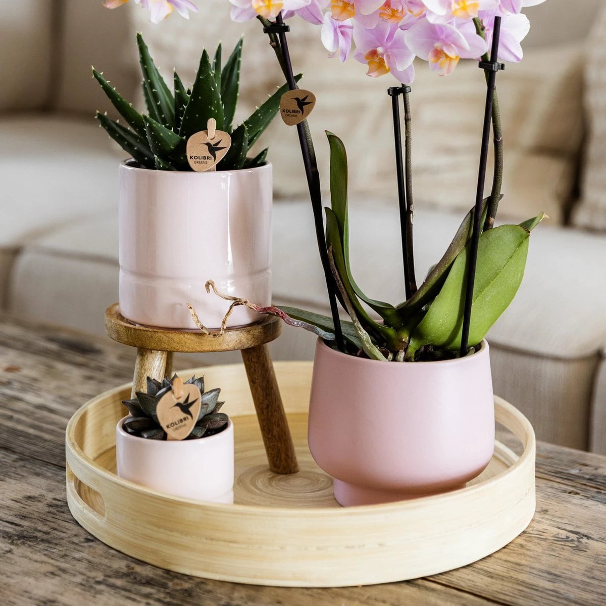 Hummingbird Home | Plant stand - Wooden plant raiser Ø12cm by Kolibri Company