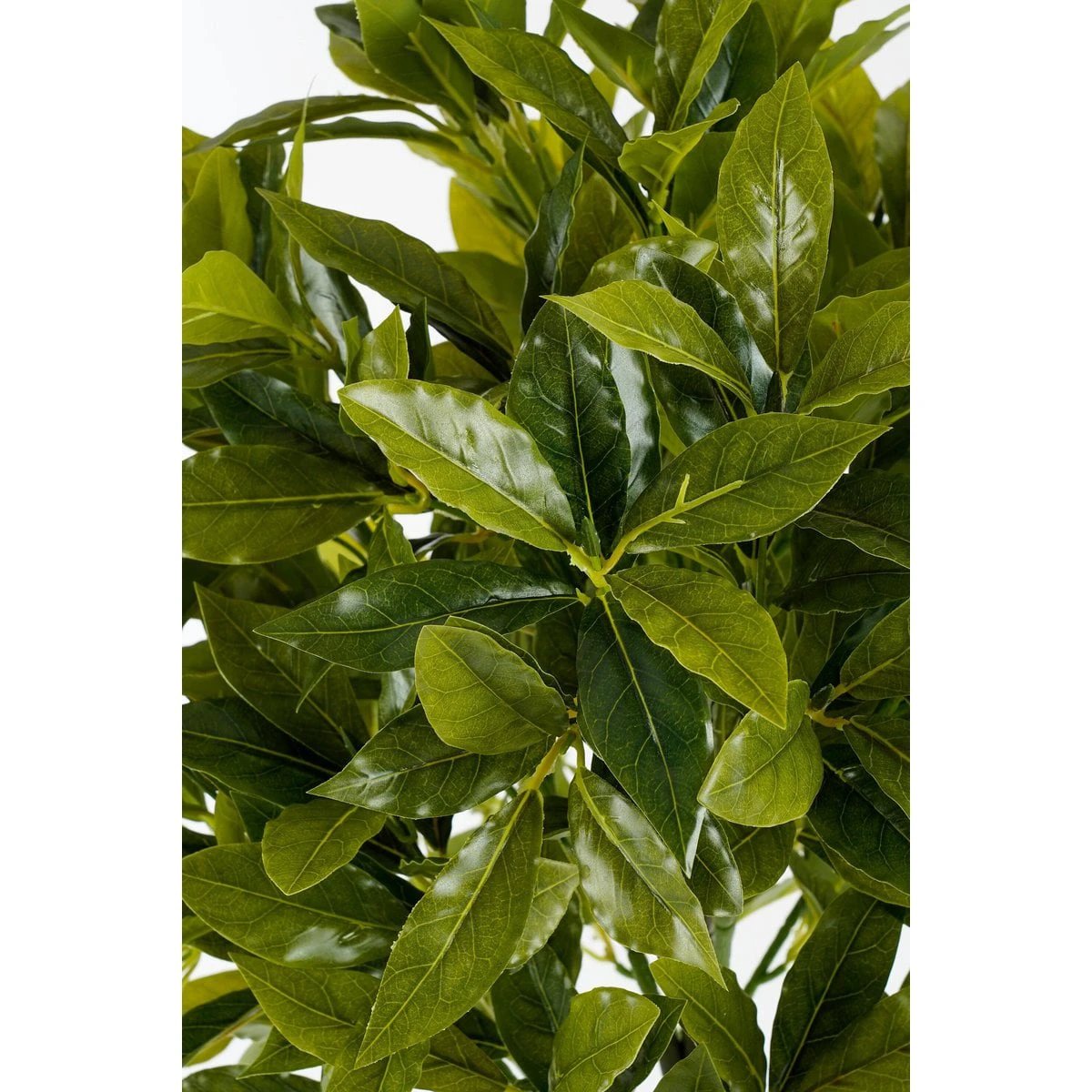 Artificial plant Laurel Green by Mica Decorations