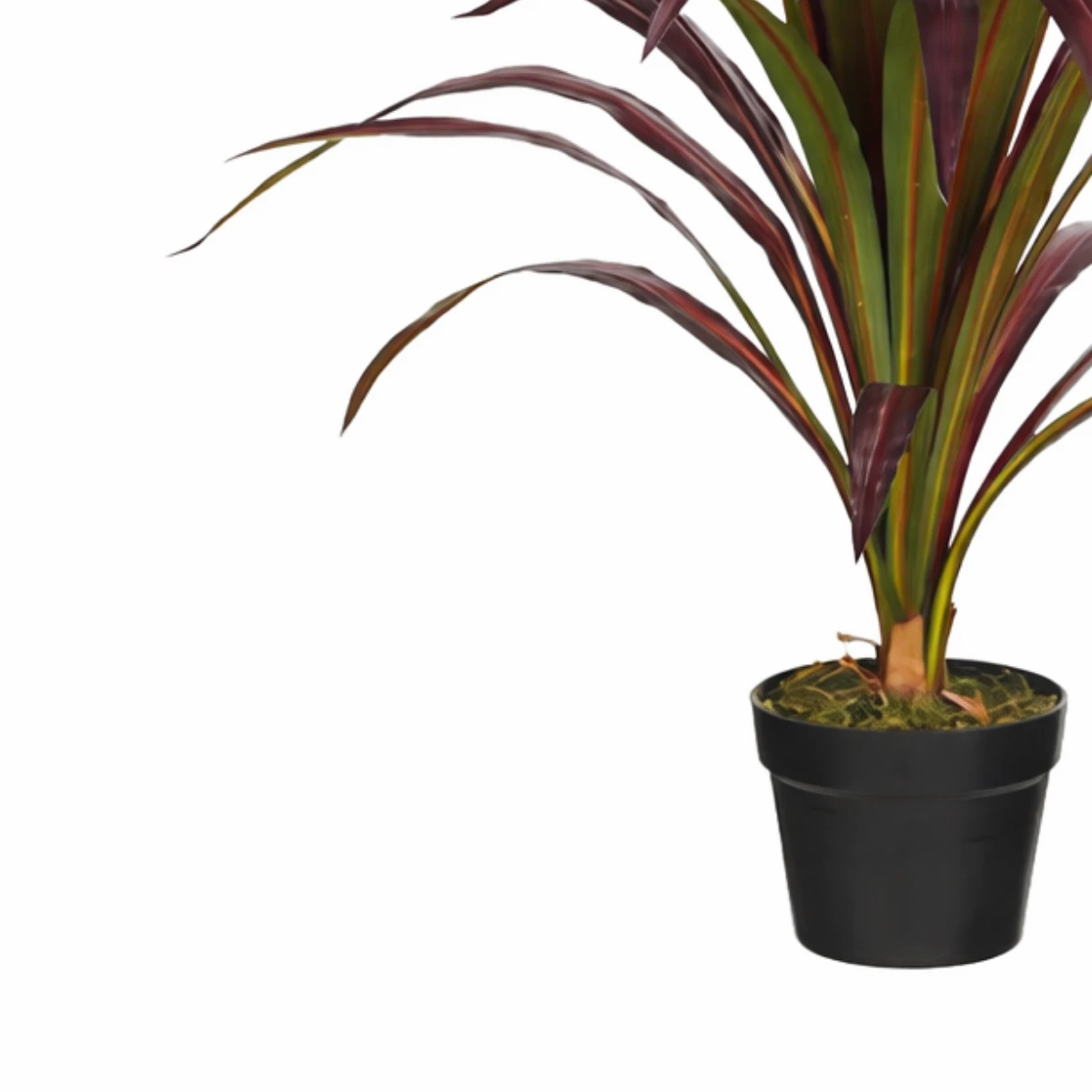 Artificial Plant Banana Tree Red by Mica Decorations