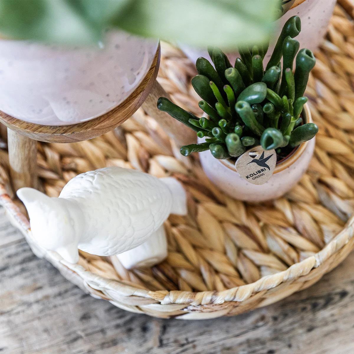 Hummingbird Home | Pastel pot pink - Ø9cm by Kolibri Company
