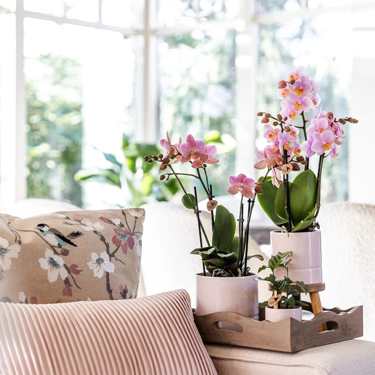 Hummingbird Home | Pastel pot pink - Ø9cm by Kolibri Company