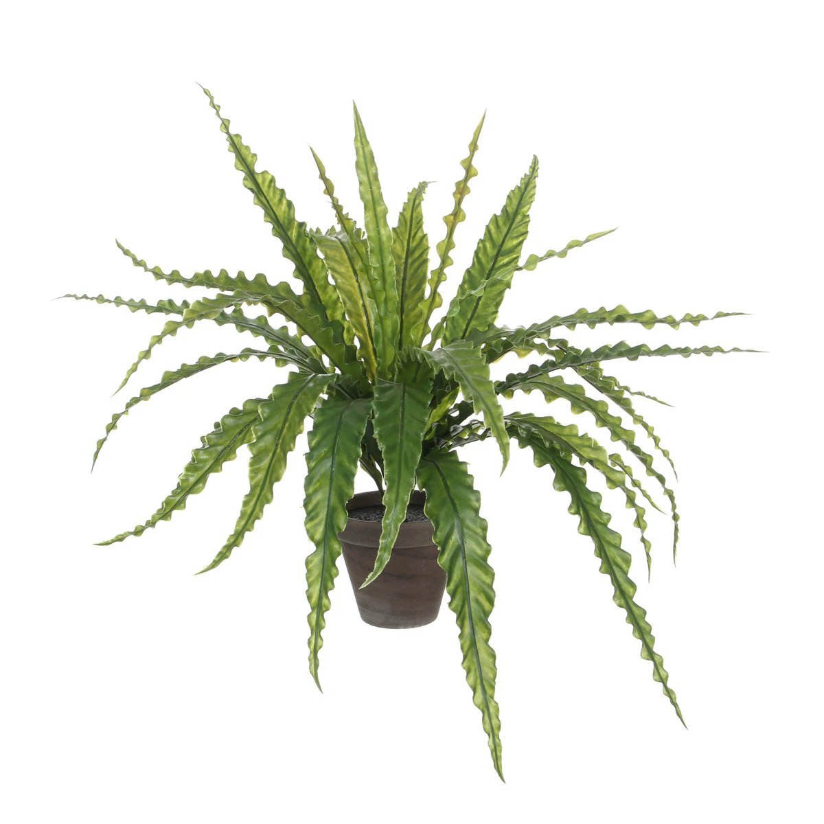 Artificial plant Asplenium Green by Mica Decorations