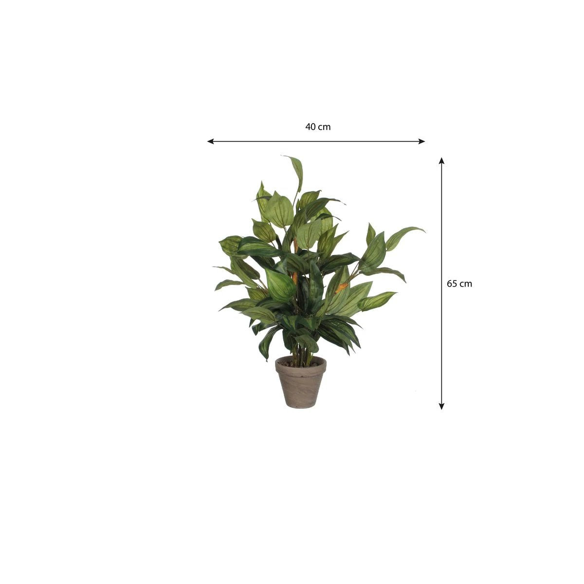 Artificial plant Hosta Green by Mica Decorations