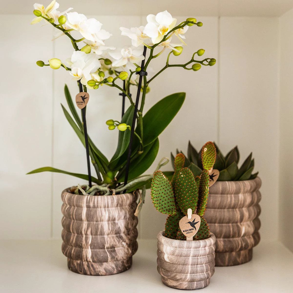Kolibri Home | Marble pot - Dark - Ø9cm by Kolibri Company