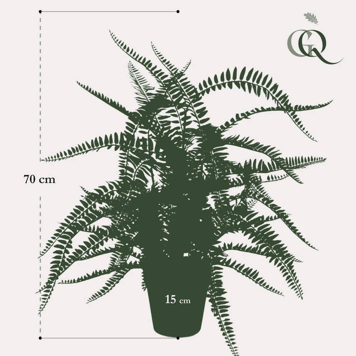 Kunstpflanze – Nephrolepis Exaltata – Bostonfarn – 70 cm von Green boutiQ