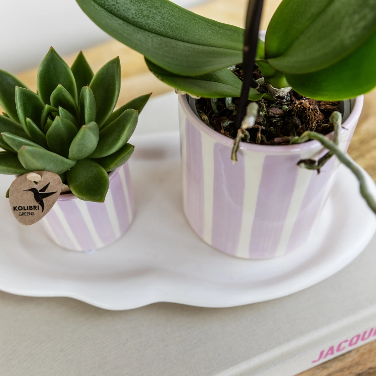 Hummingbird Home | Painted stripe - Pink - Ø9cm by Kolibri Company