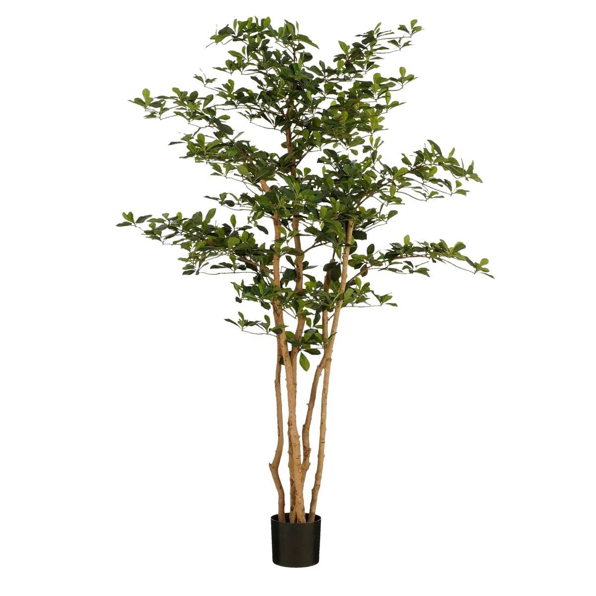 Artificial plant Green by Mica Decorations