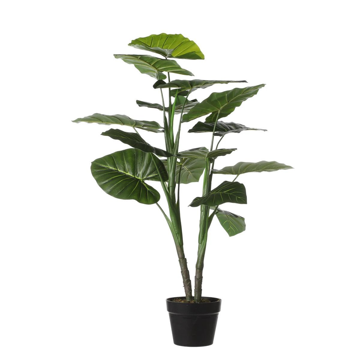 Artificial plant Taro Green by Mica Decorations